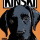 Illustration for article titled The best graphic novels and art comics of 2013